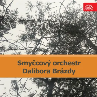 Smyčcový orchestr Dalibora Brázda by 