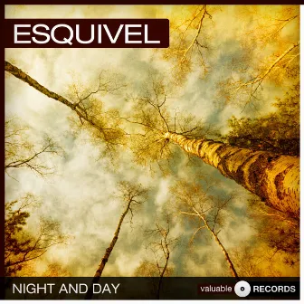 Night and Day by Esquivel!