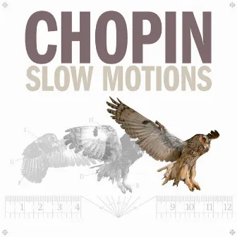 Chopin Slow Motions by Axel Gillison