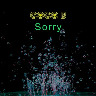 Sorry by Coco B