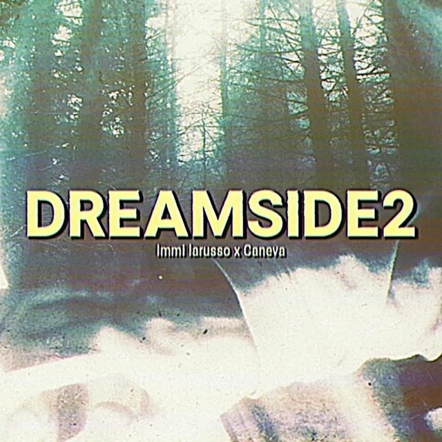 DREAMSIDE2