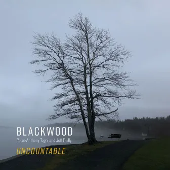 Uncountable by Blackwood