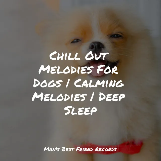 Chill Out Melodies For Dogs | Calming Melodies | Deep Sleep