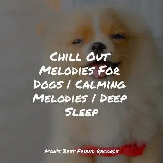 Chill Out Melodies For Dogs | Calming Melodies | Deep Sleep by 