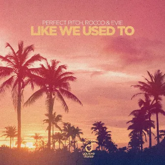 Like We Used To by EVIE