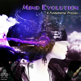 A Fundamental Process by Mind Evolution