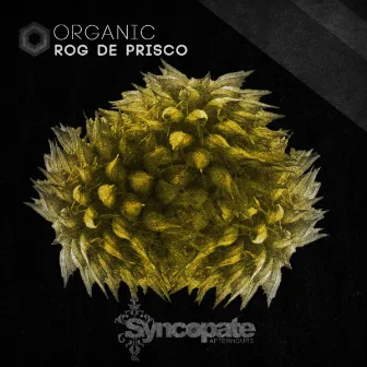 Organic by Rog De Prisco