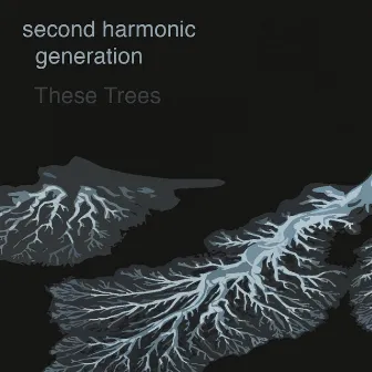 These Trees by Second Harmonic Generation