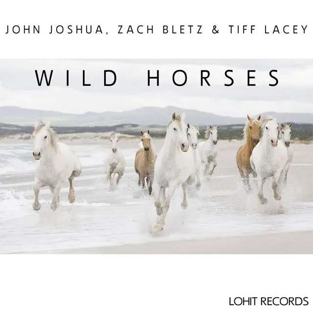 Wild Horses - Original Mix