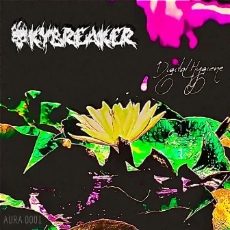 Digital Hygiene by SKYBREAKER