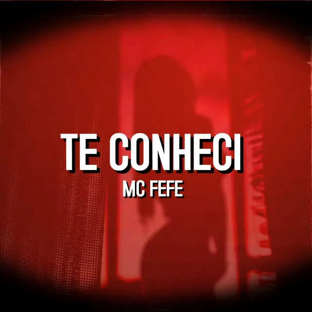 Te Conheci