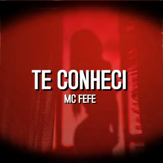 Te Conheci by MC FeFe