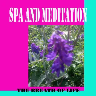 Spa and Meditation by The Breath of Life