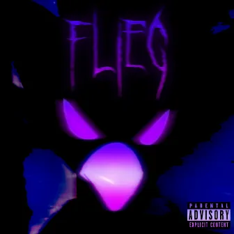 FLIEG by Lil Spacy