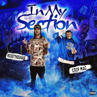 In My Section by MickeyTheSavage