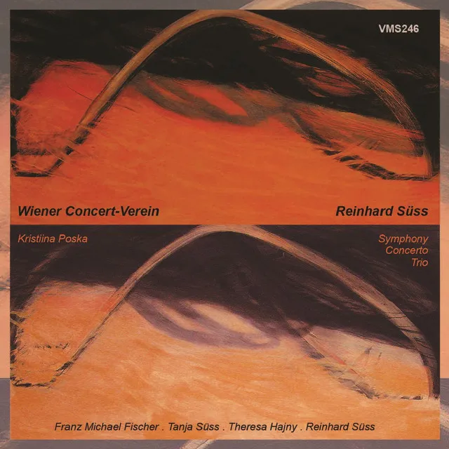 Double Concerto No. 1 for Violin, Piano and Chamber Orchestra: IV. In memento