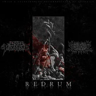 Redrum by Decomposition of entrails