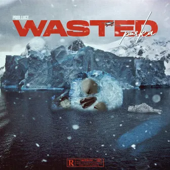 Wasted by Puska