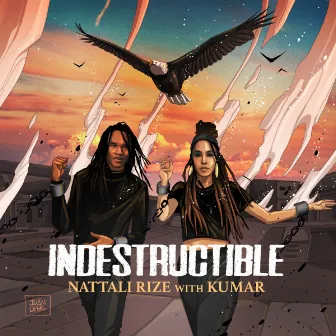 Indestructible by Nattali Rize