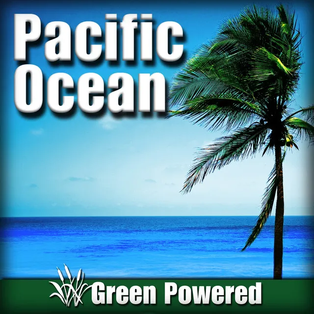 Pacific Ocean (Nature Sound)