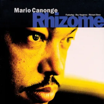 Rhizome by Mario Canonge