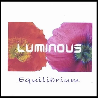 equilibrium by Luminous