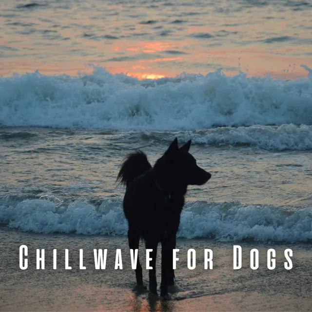 Chillwave for Dogs: Chill Sounds for Tranquil Doggy Moments