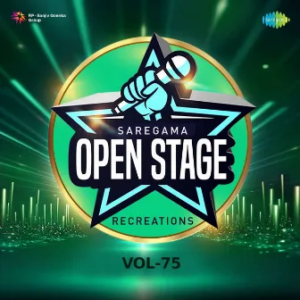 Open Stage Recreations, Vol. 75 by VDJ Fly