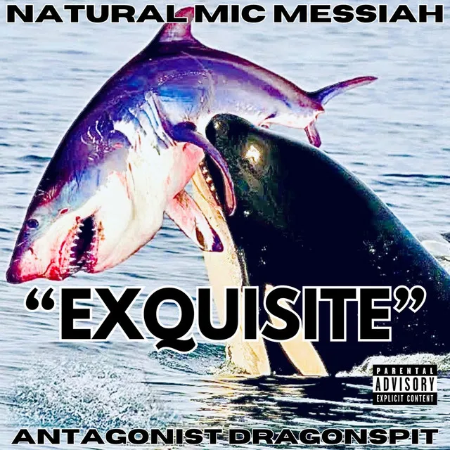 EXQUISITE - Radio Edit