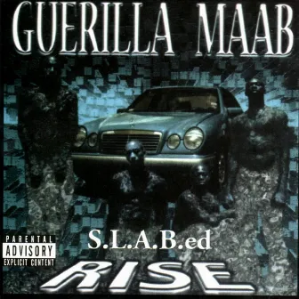 Rise by Guerilla Maab