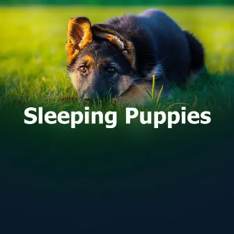 Sleeping Puppies by Dog Therapy Music