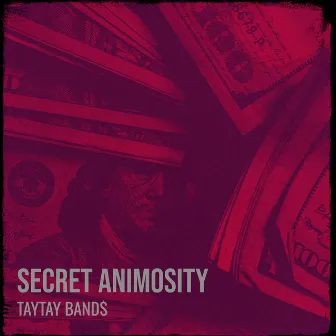 Secret Animosity by TayTay Band$