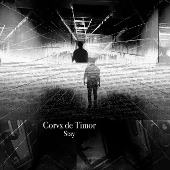 Stay by Corvx De Timor