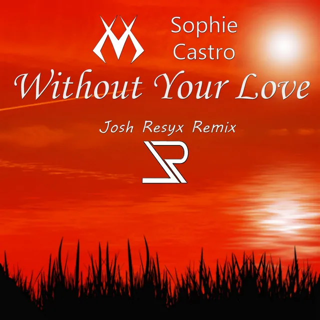 Without Your Love (Remix)