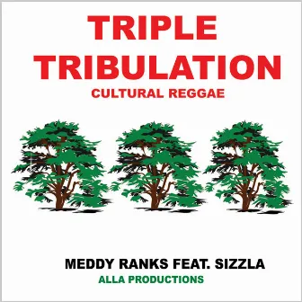 Triple Tribulation by Meddy Ranks