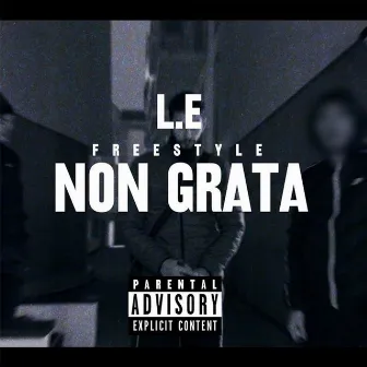 Non Grata by L.E