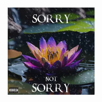 Sorry not Sorry by Sakudii