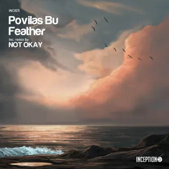 Feather by Povilas Bu