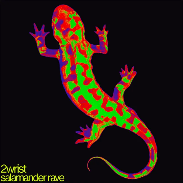 salamander rave