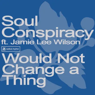 Would Not Change A Thing by Soul Conspiracy