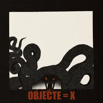 Objecte=X by Paula S. Piedad