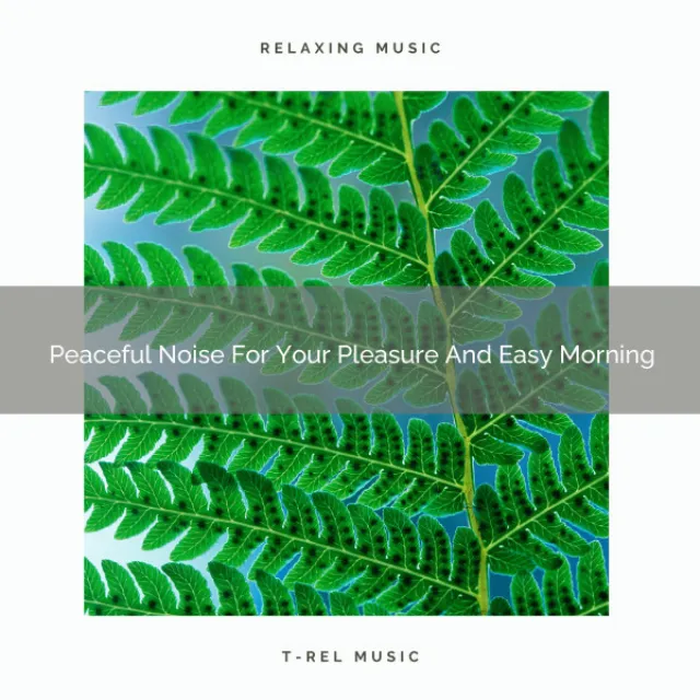 Peaceful Noise For Your Pleasure And Easy Morning