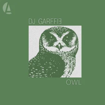 Owl by 