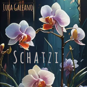 Schatzi by Luca Galeano