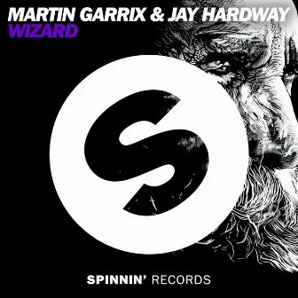 Wizard (Radio Edit) by Jay Hardway