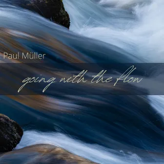 Going with the Flow by Paul Müller