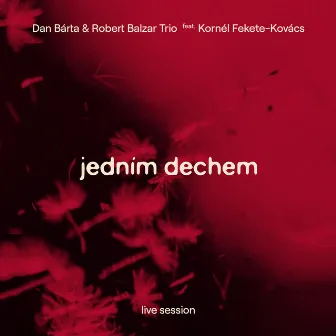 Jedním dechem (Live session) by Dan Bárta