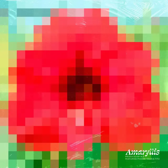 Amaryllis