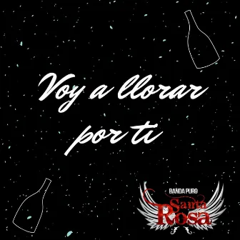 Voy A Llorar Por Ti by Banda Puro Santa Rosa