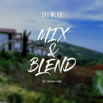 Mix & Blend (Radio Edit) by Skiiwlkr